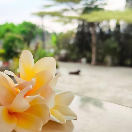 登雲villa Shan-lin Esterno foto