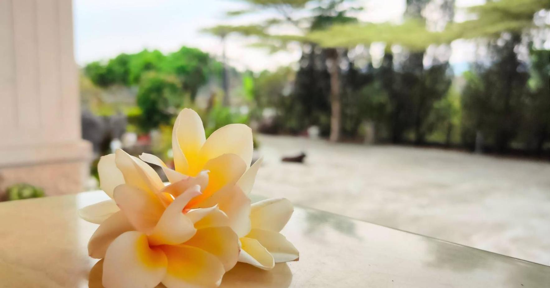 登雲villa Shan-lin Esterno foto